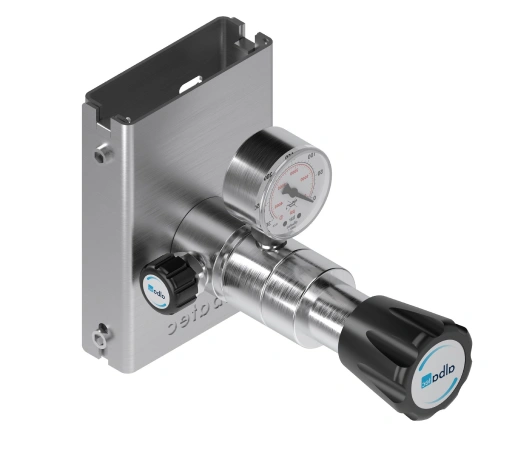 Wall-mounted point-of-use gas regulator with pressure gauge